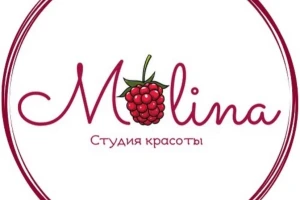 Малина Стаил 