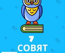 Центр развития личности «7 Совят»: качественное образование и комфортные условия для развития детей