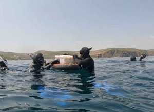 Выращивать морских гидробионтов предлагают хабаровским предпринимателям
