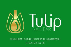Tulip 